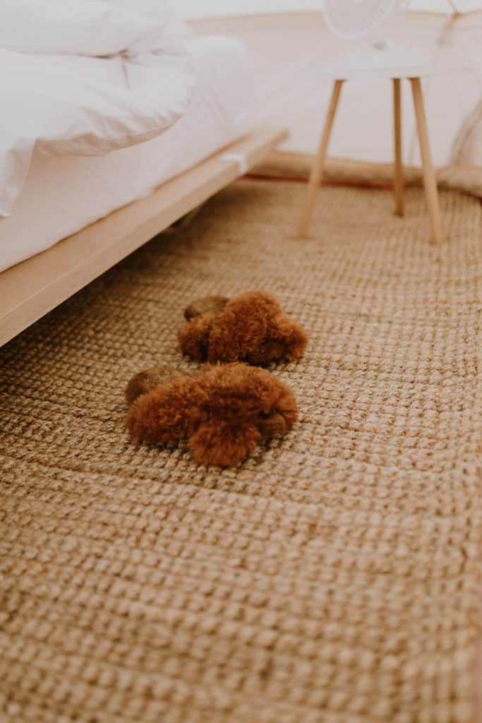 Alpaca Fur Slippers on Floor by Bed and Nightstand Inside Glaping Tent in New Mexico