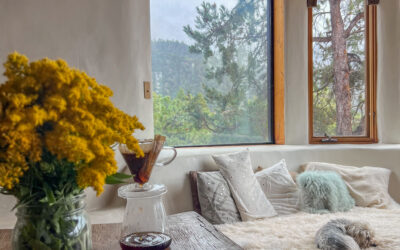 Taos New Mexico Earthship: The Mia chateaux